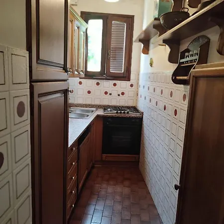 Salvino's House