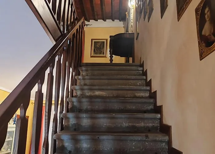 Salvino's House Carbonaia